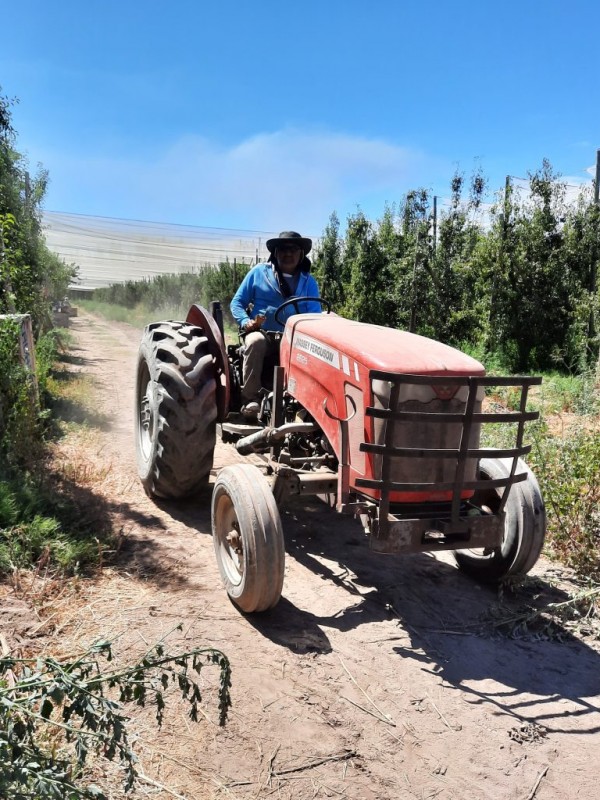 El RENATRE actualizó los montos de la Prestación por Desempleo y lleva el máximo a $356.895