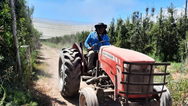 El RENATRE actualizó los montos de la Prestación por Desempleo y lleva el máximo a $356.895
