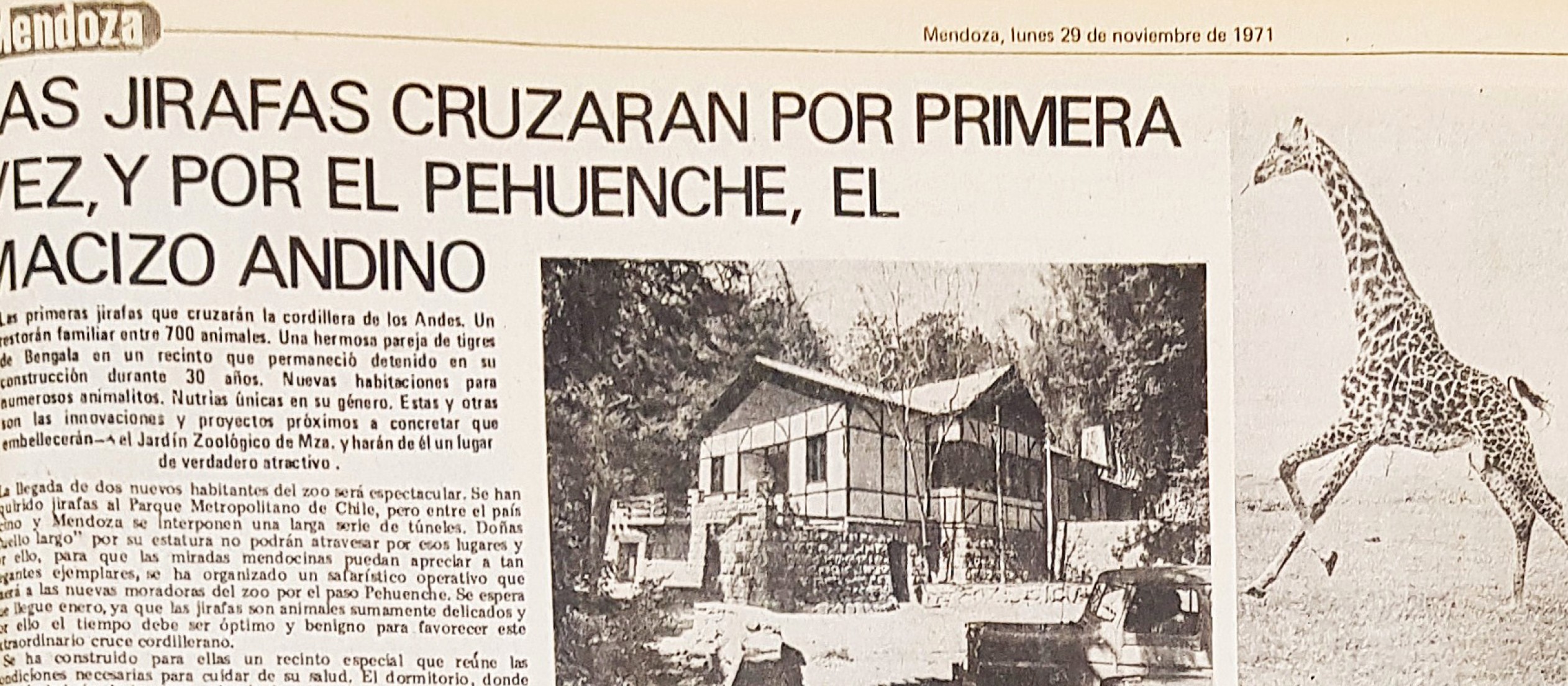 Historias tristes del ex Zoo de Mendoza