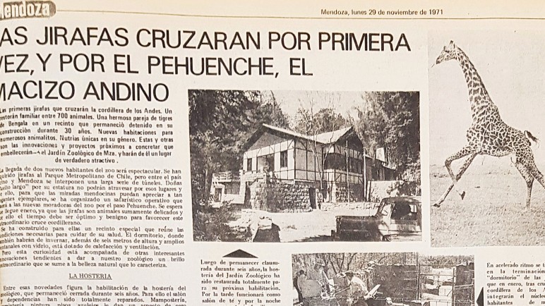 Historias tristes del ex Zoo de Mendoza