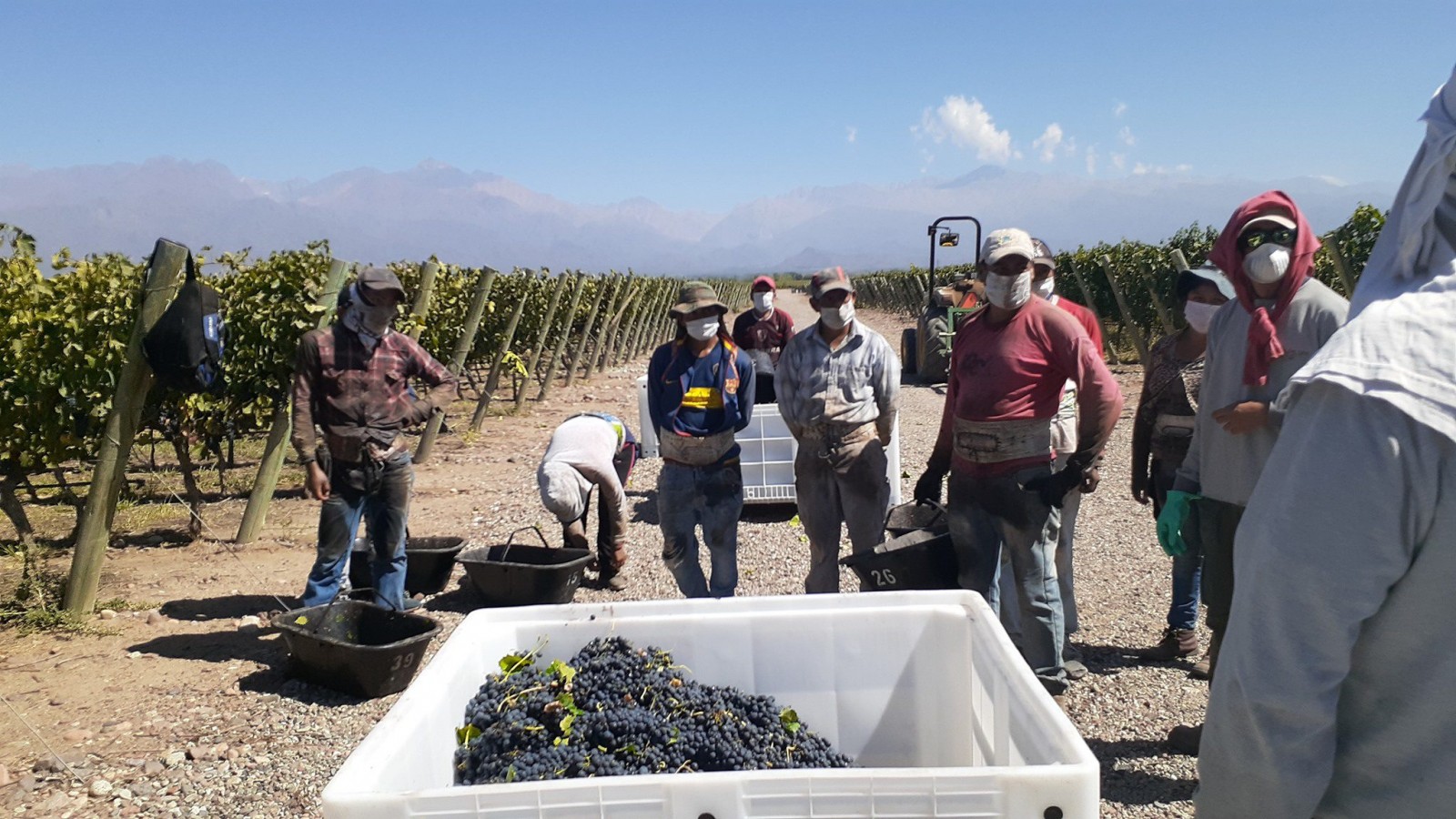 En plena crisis del sector vitivinícola, el gobierno promociona los vinos mendocinos en Paris