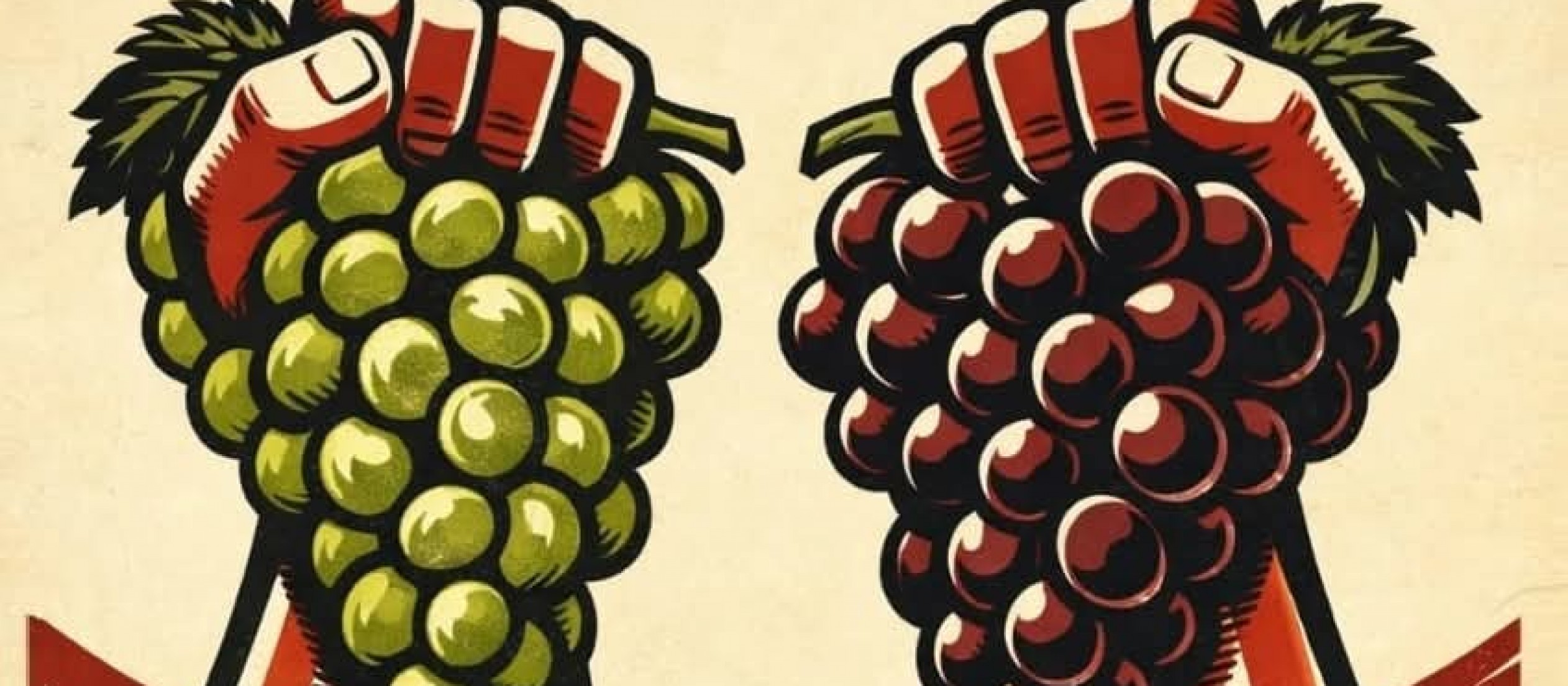 Productores de Mendoza anuncian un caravanazo por el bajo precio de la uva y la crisis del agro