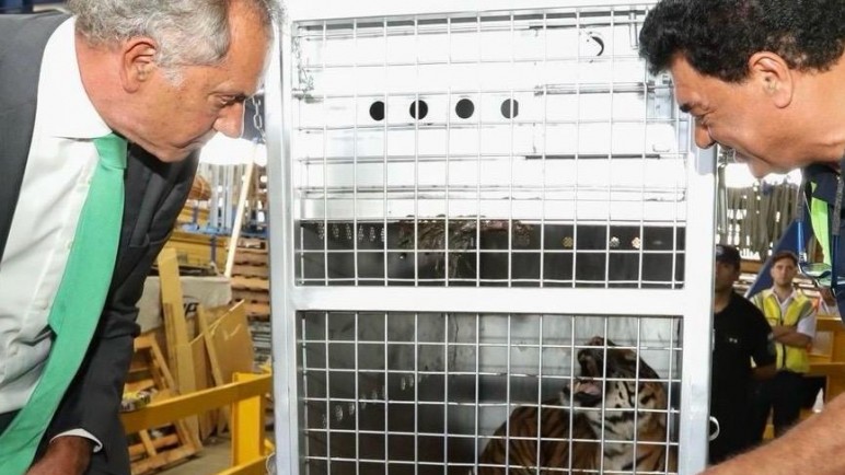 Scioli y Brom acompañaron el operativo de traslado de animales rescatados del ex zoológico de Luján