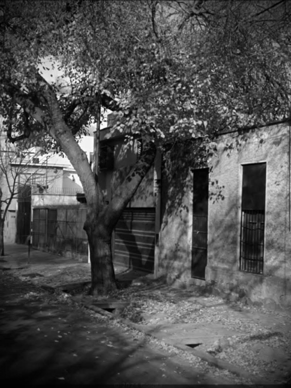 Aquella noche es (otra vez) esta noche