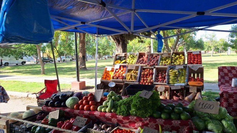 La Feria Franca llevará el programa de pescado a los distritos de San Rafael