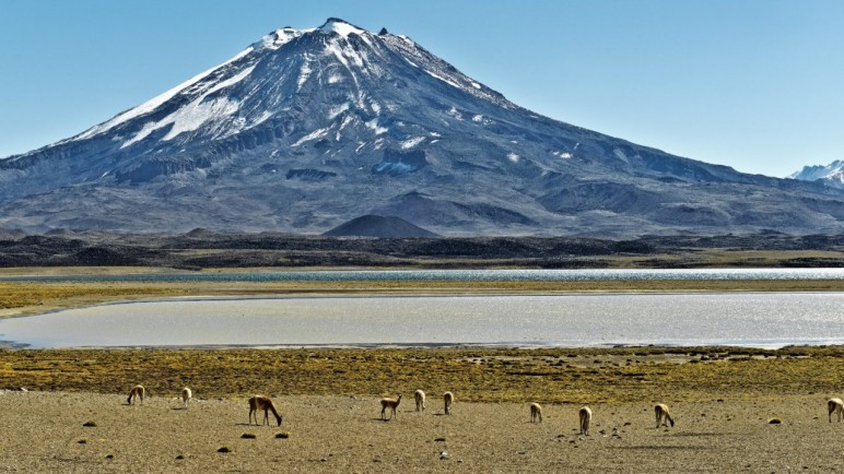 CAME: El turismo creció un 5,6% en Semana Santa, pero el consumo real cayó casi un 19%