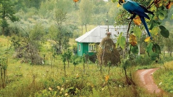 Misterio en el monte paraguayo