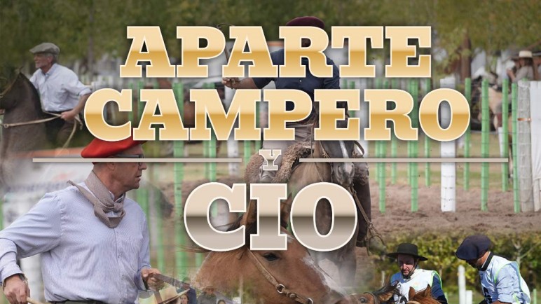 Junín se prepara para un fin de semana de tradición y destreza campera