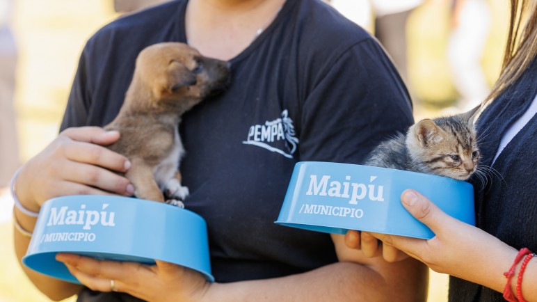 Salud animal: Maipú amplía su red de atención y prevención para mascotas