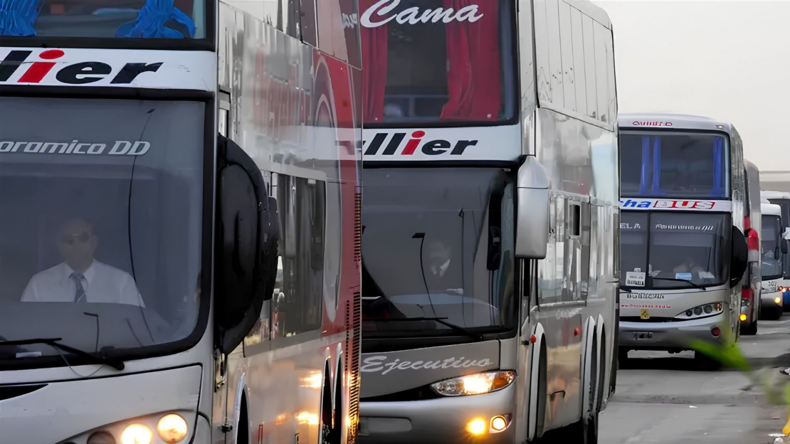 Transportistas se pronunciaron por la quita del subsidio a personas con discapacidad