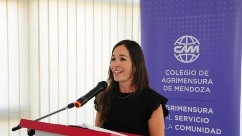 Catastro, planos VIP y el poder inmobiliario: la otra caja política del cornejismo