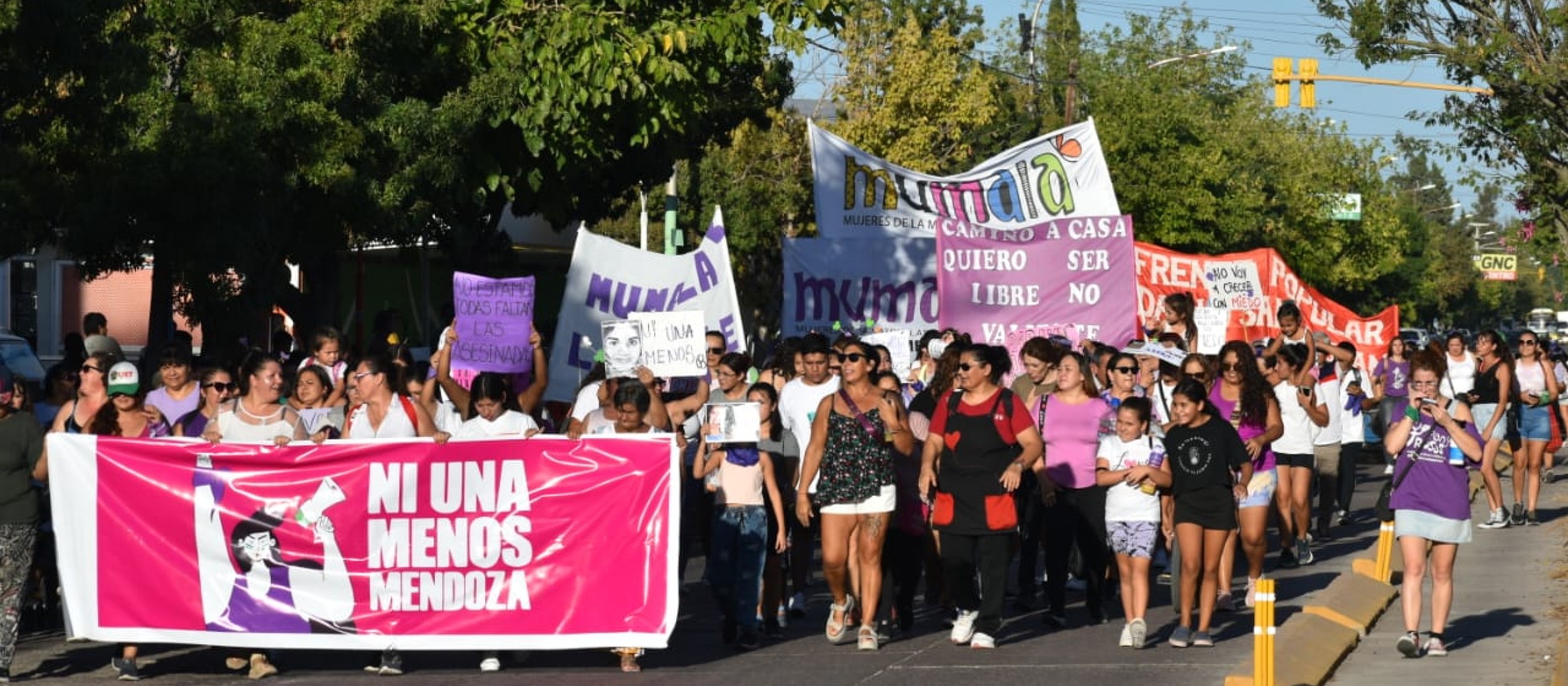 Ni Una Menos marchará por todo: femicidios, Estado negacionista, "falsas denuncias"