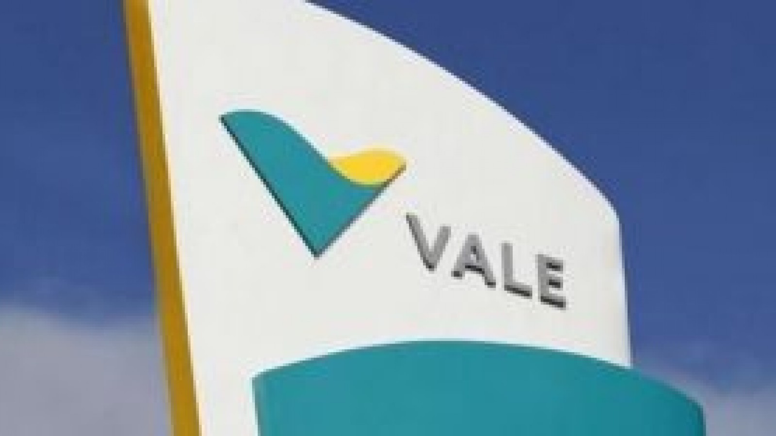 Vale informó una caída en su producción del 21,5%