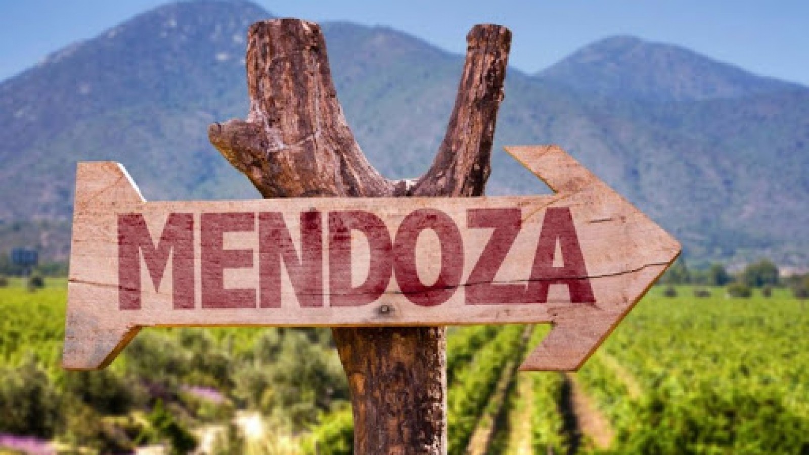 Divididos, las pelotas