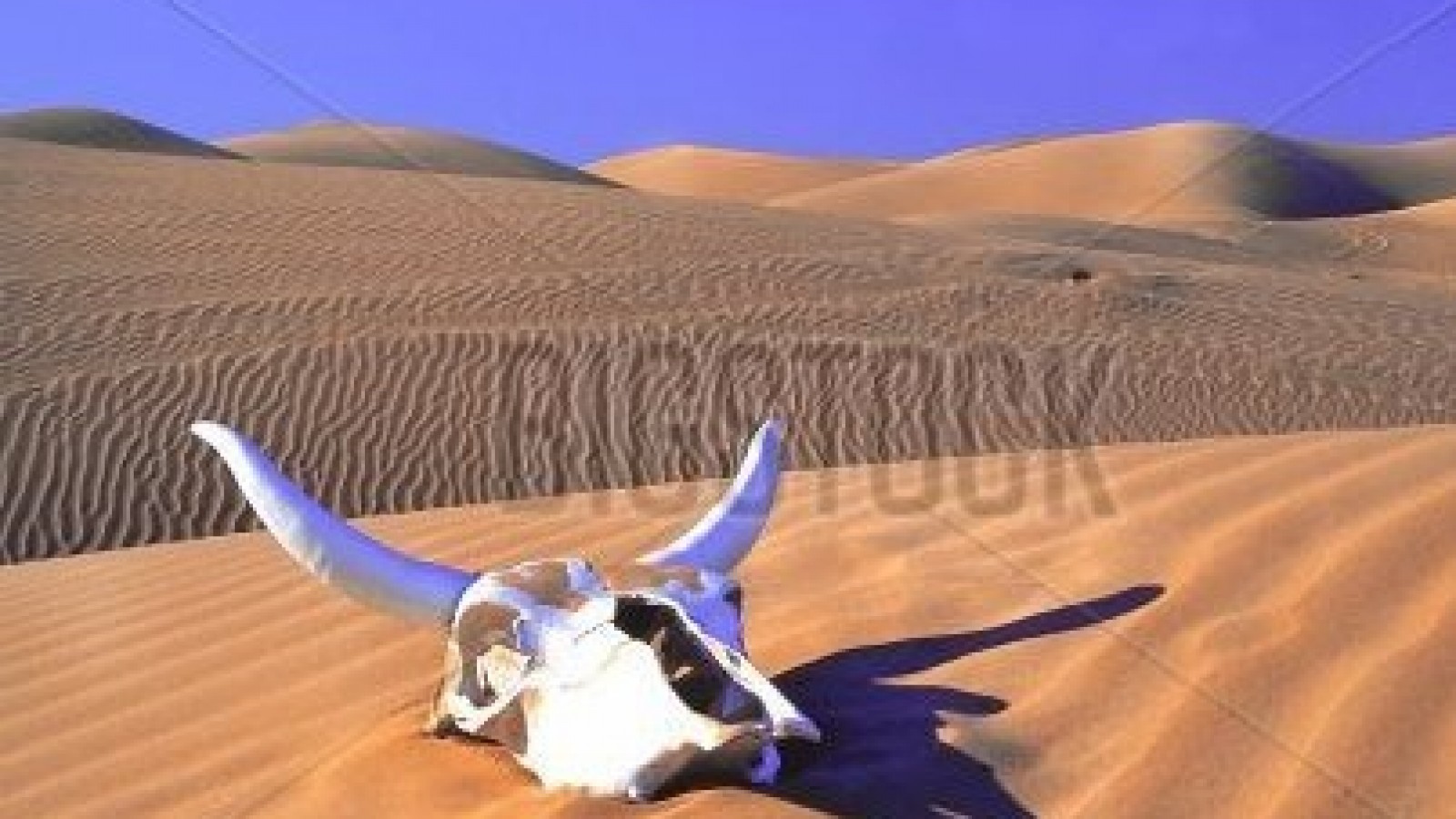 Mendoza, el país de las últimas cosas