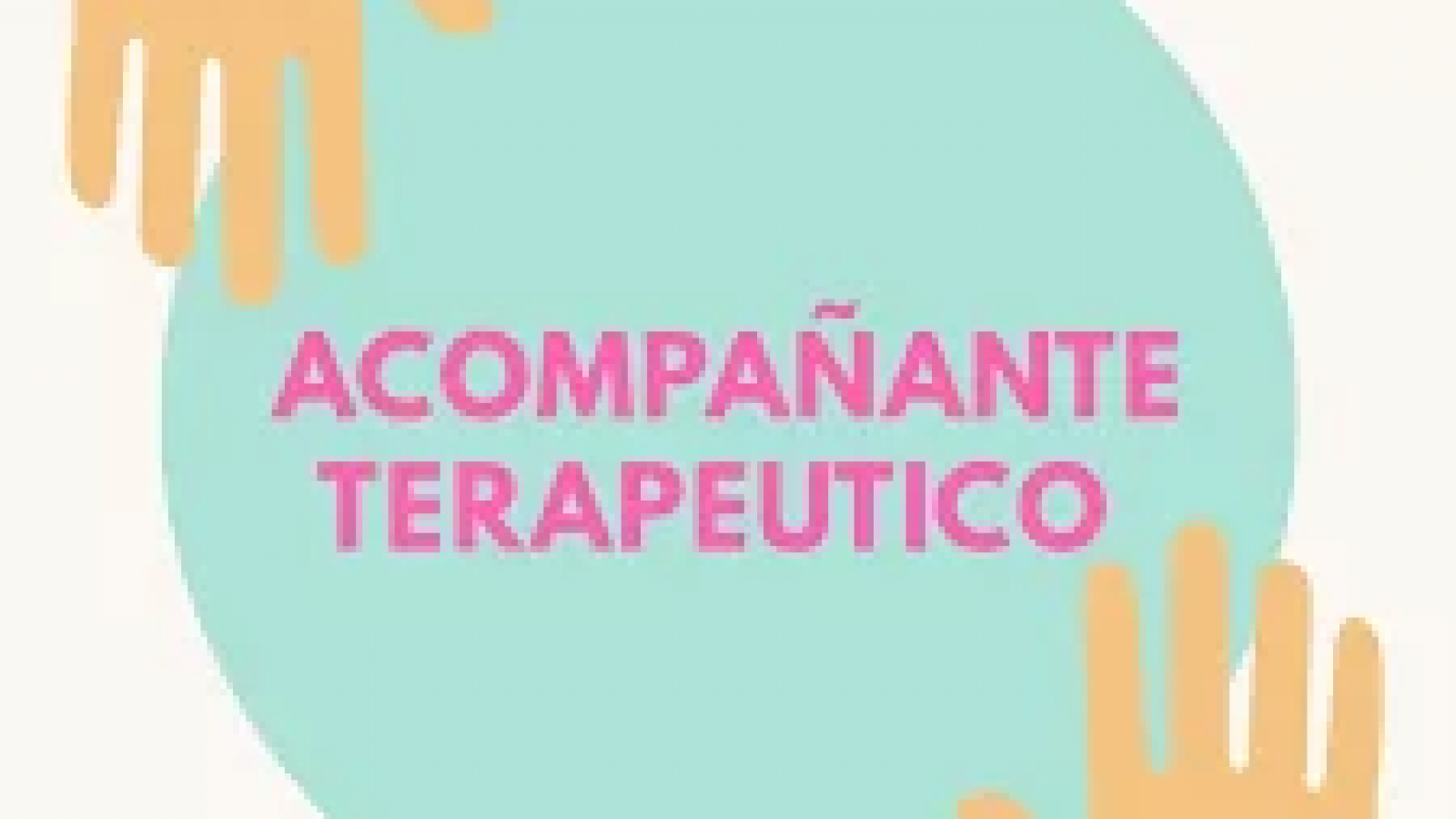 Paula Saucedo: Necesitamos que sea ley