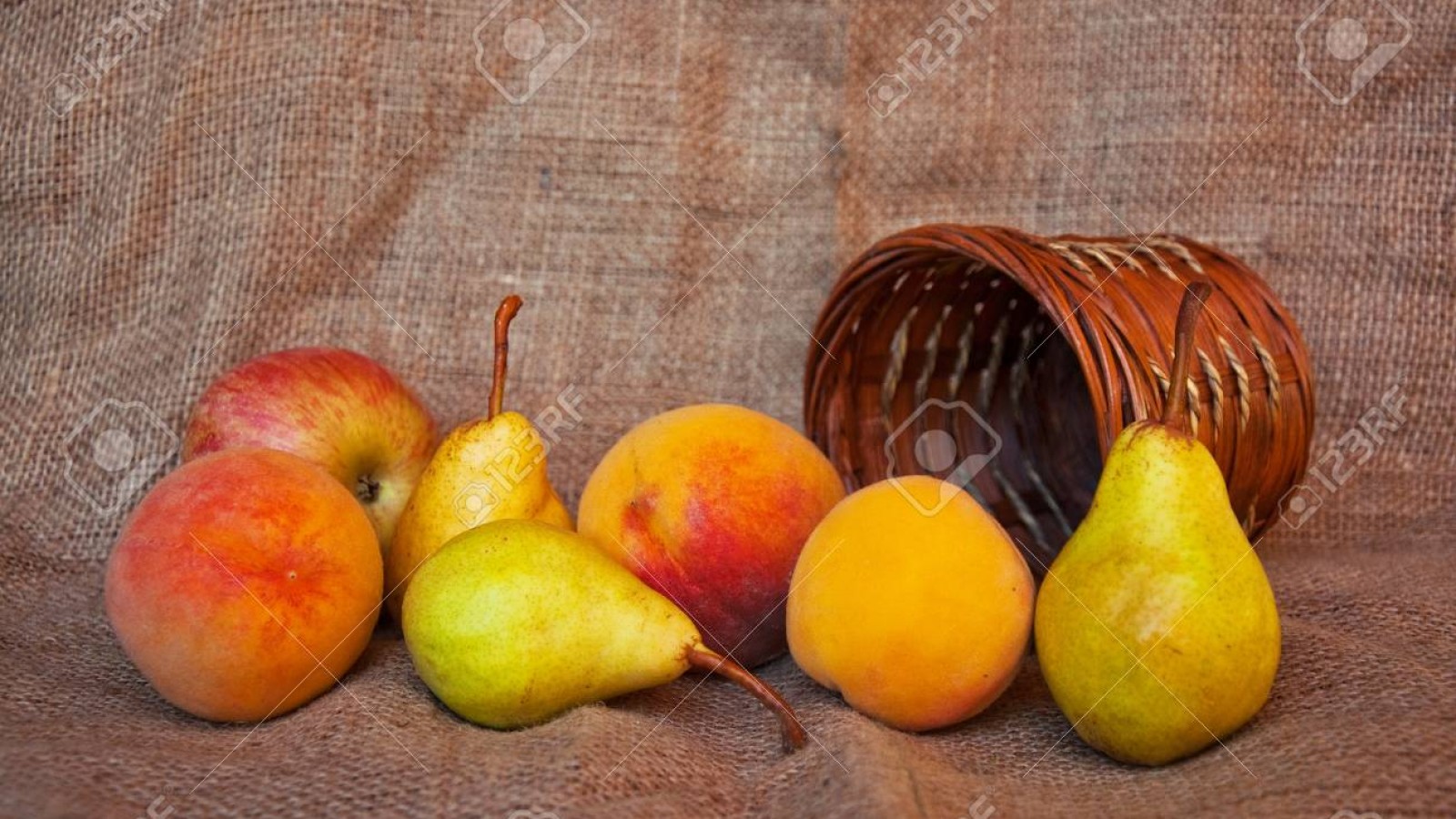 Una alianza estratégica pone de relieve la importancia y calidad de las frutas mendocinas.