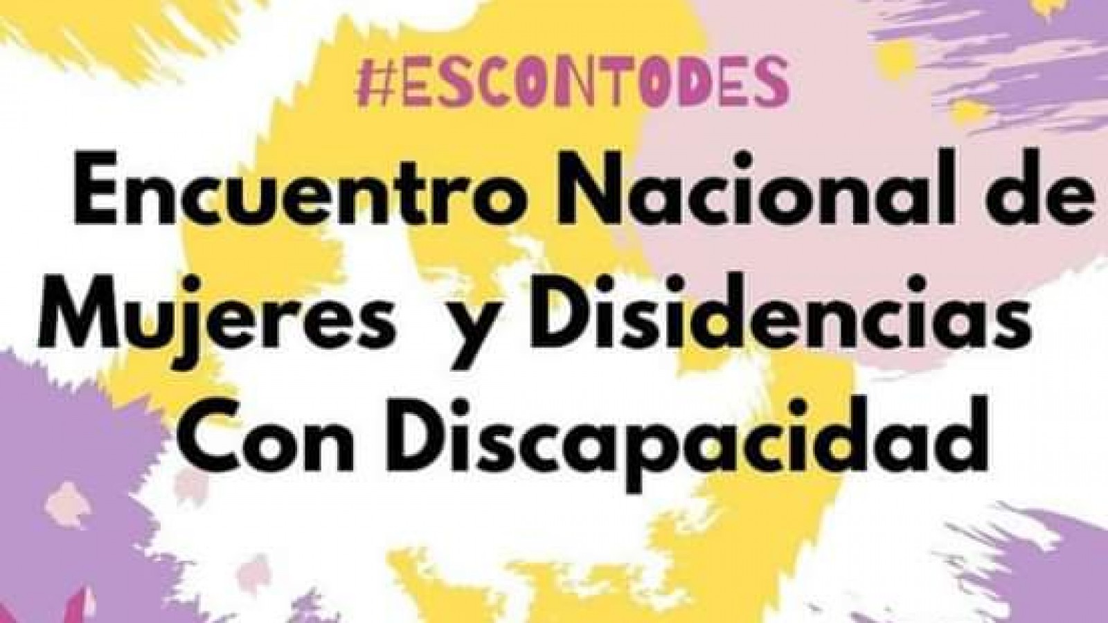 Lo que no se nombra no existe: Encuentro virtual nacional de mujeres y disidencias con discapacidad.