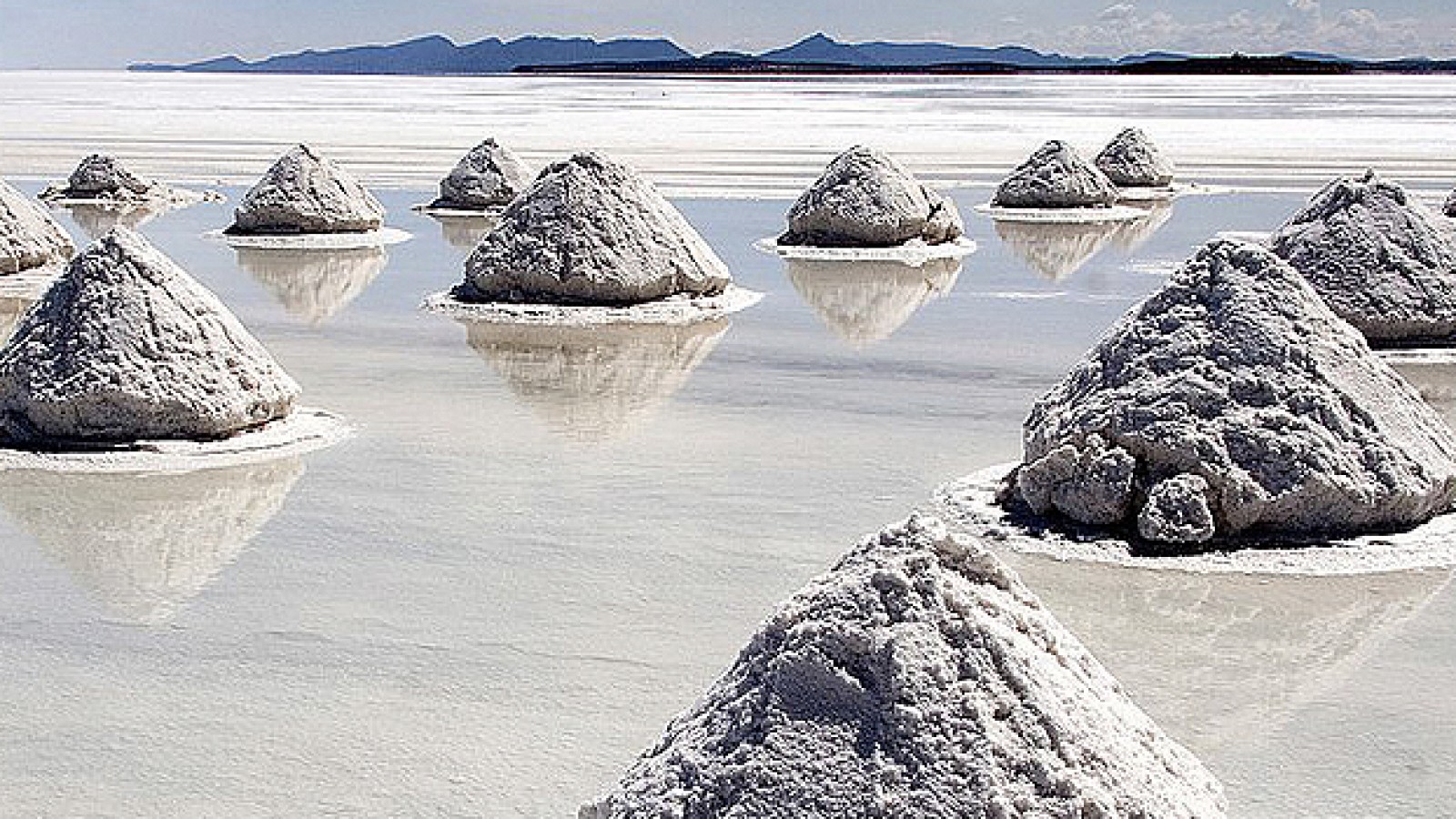 El futuro de las energías inspira una alianza estratégica en el presente.