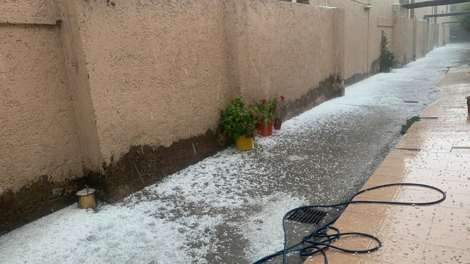 La naturaleza se ensaña