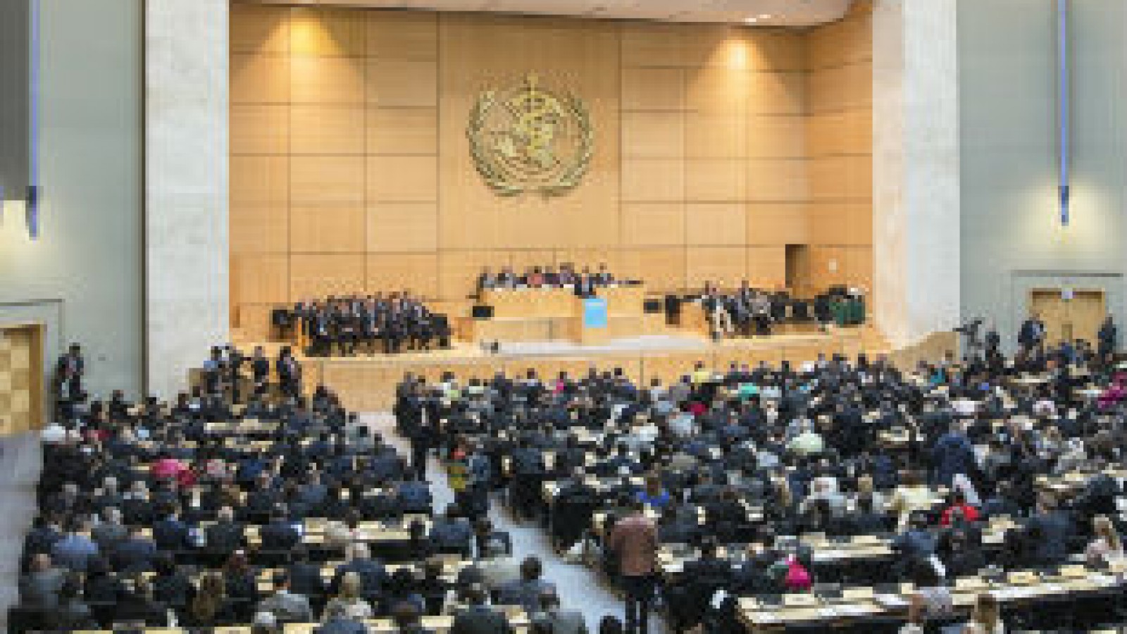 La Asamblea Mundial de la Salud apoya dos resoluciones sobre el control de la meningitis y la epilepsia