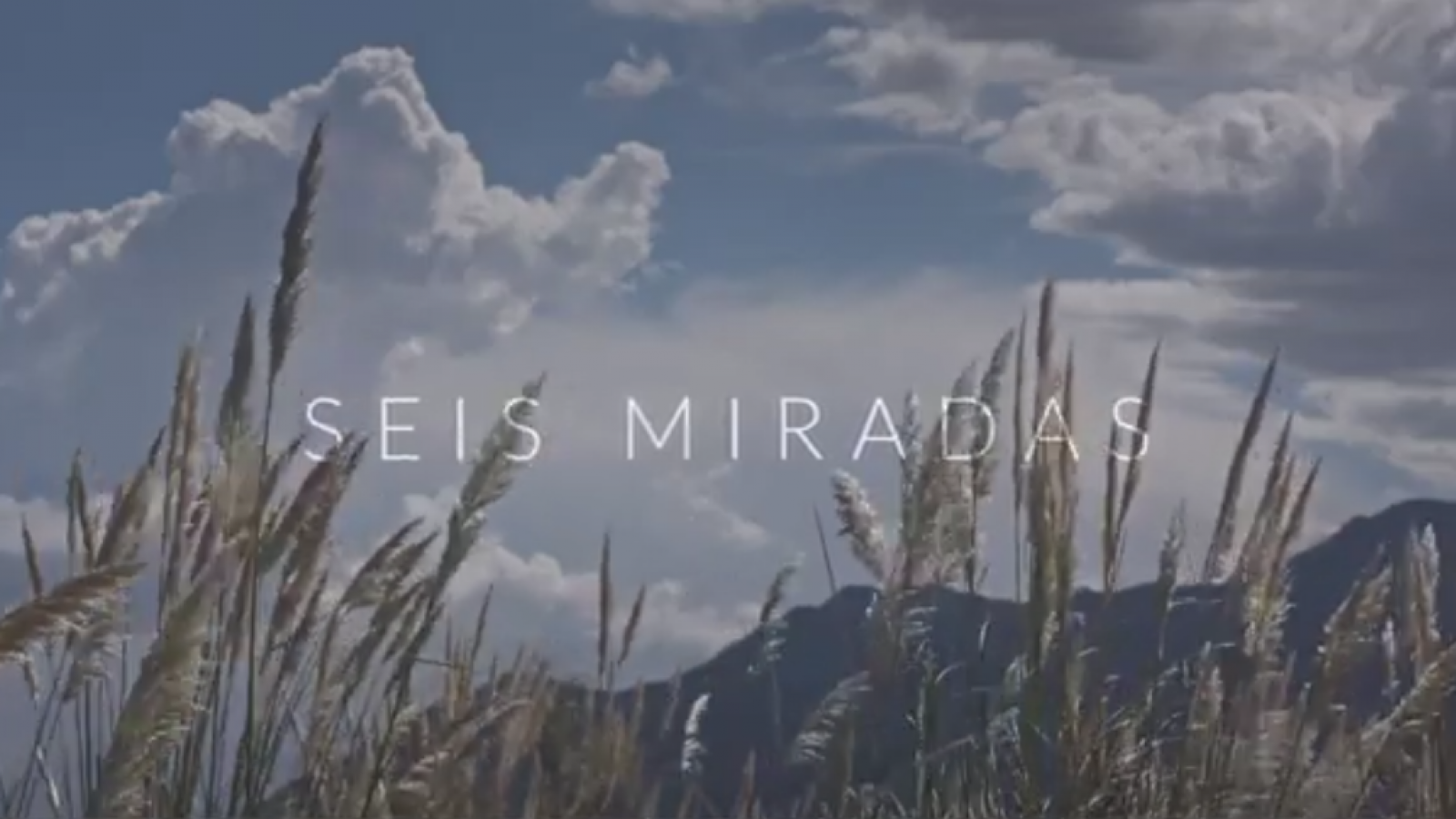 Se presentó el tráiler de vendimia 2021-LSA