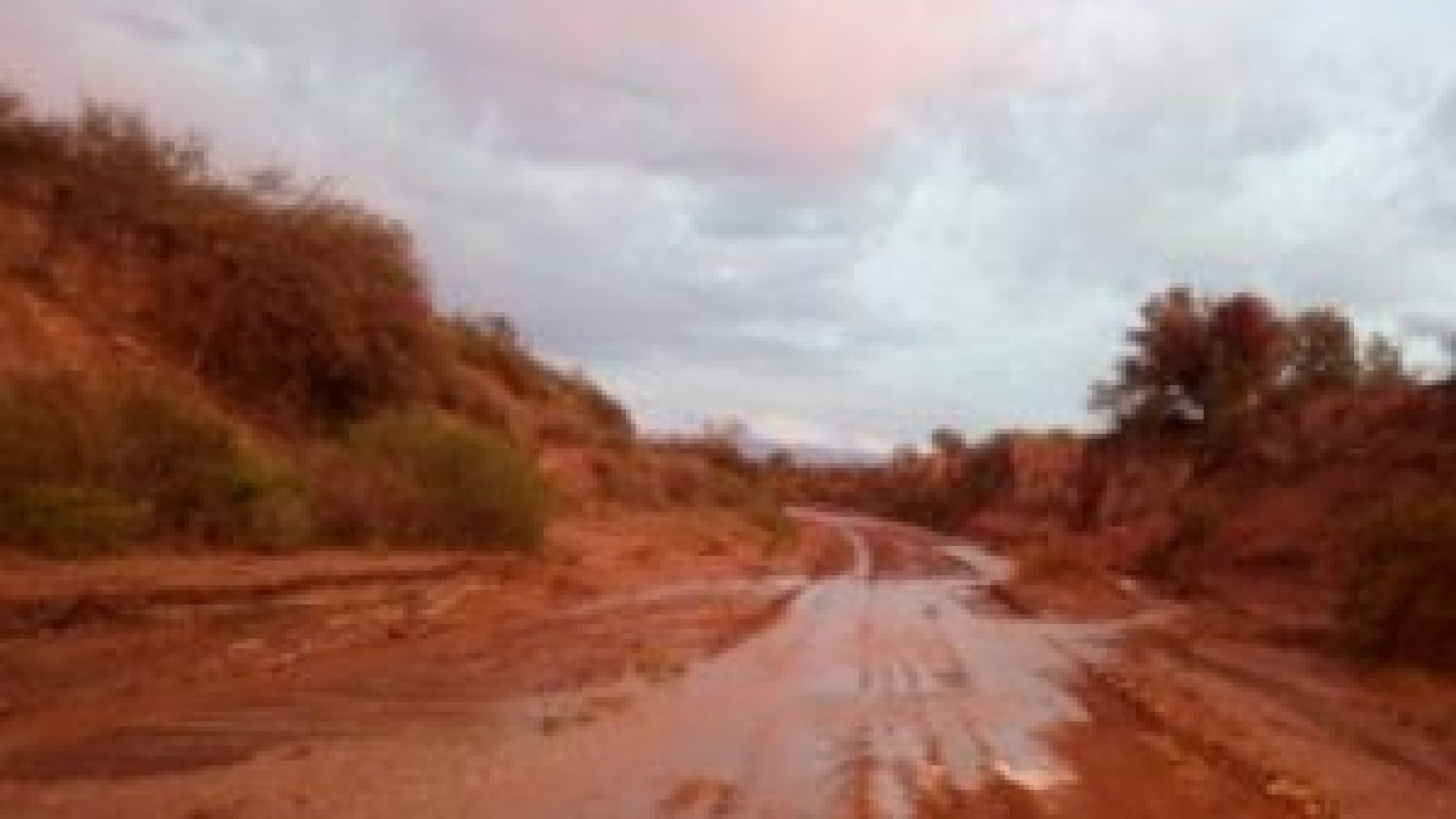 «No tenemos acceso a internet, ni acceso a la educación»