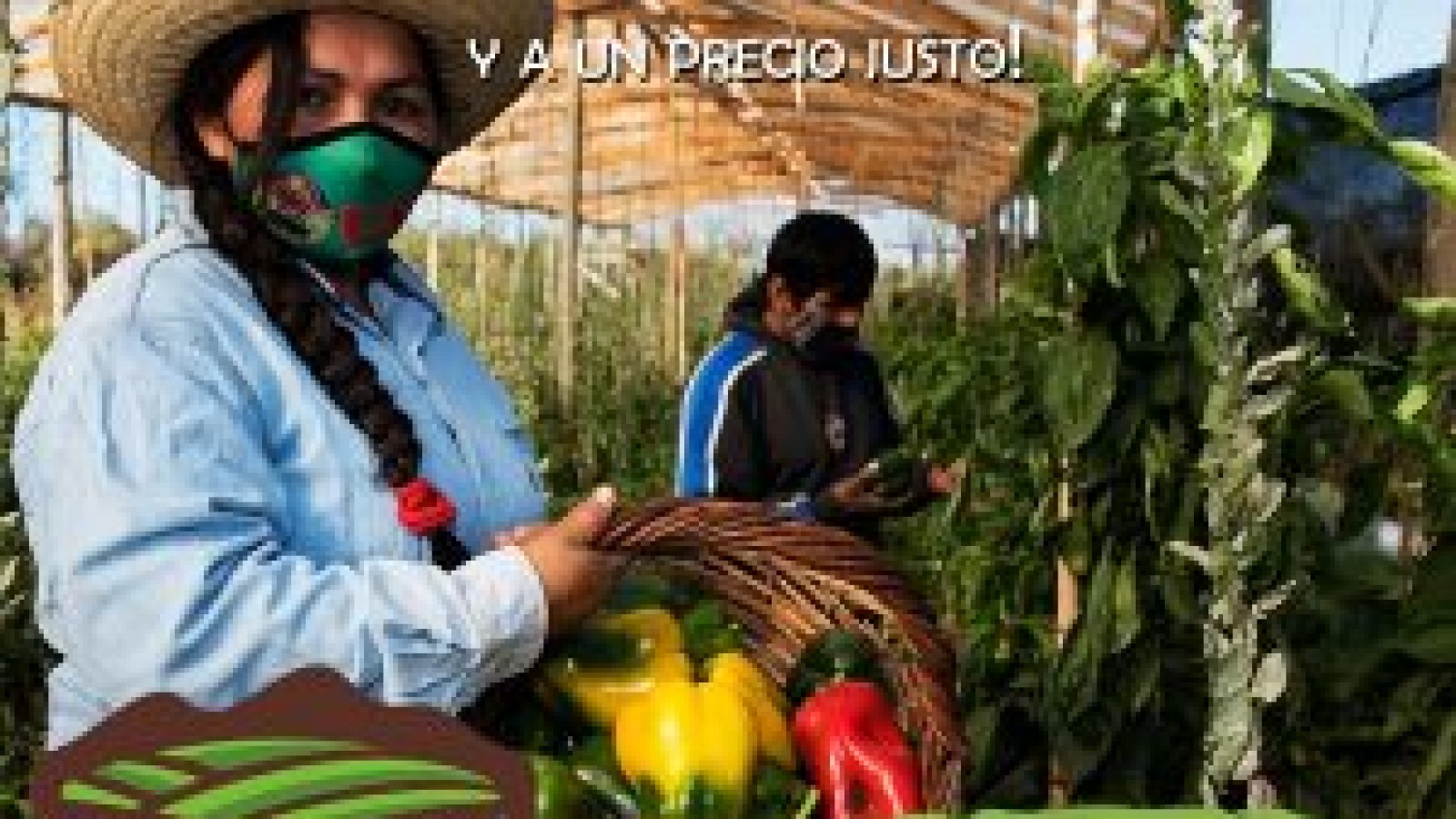 La Unión de Trabajadores Rurales Sin Tierra inaugura el Almacén Campesino