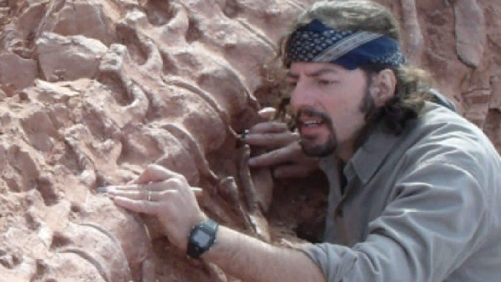 El descubrimiento de una nueva especie de Titanosaurio- LSA