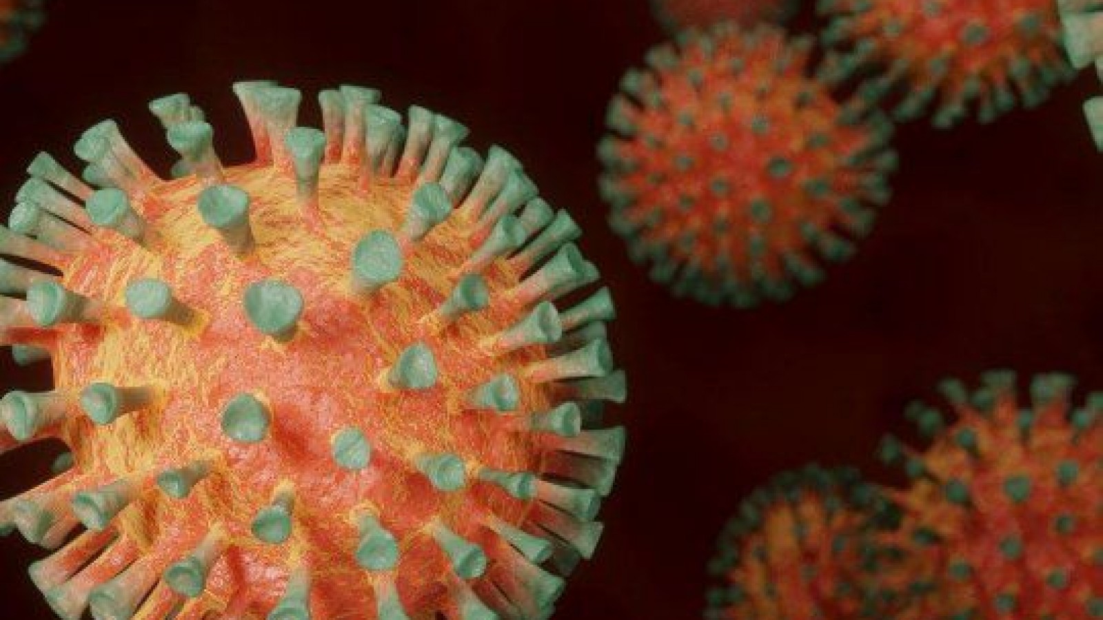 La cepa Manaos presente en Mendoza- LSA