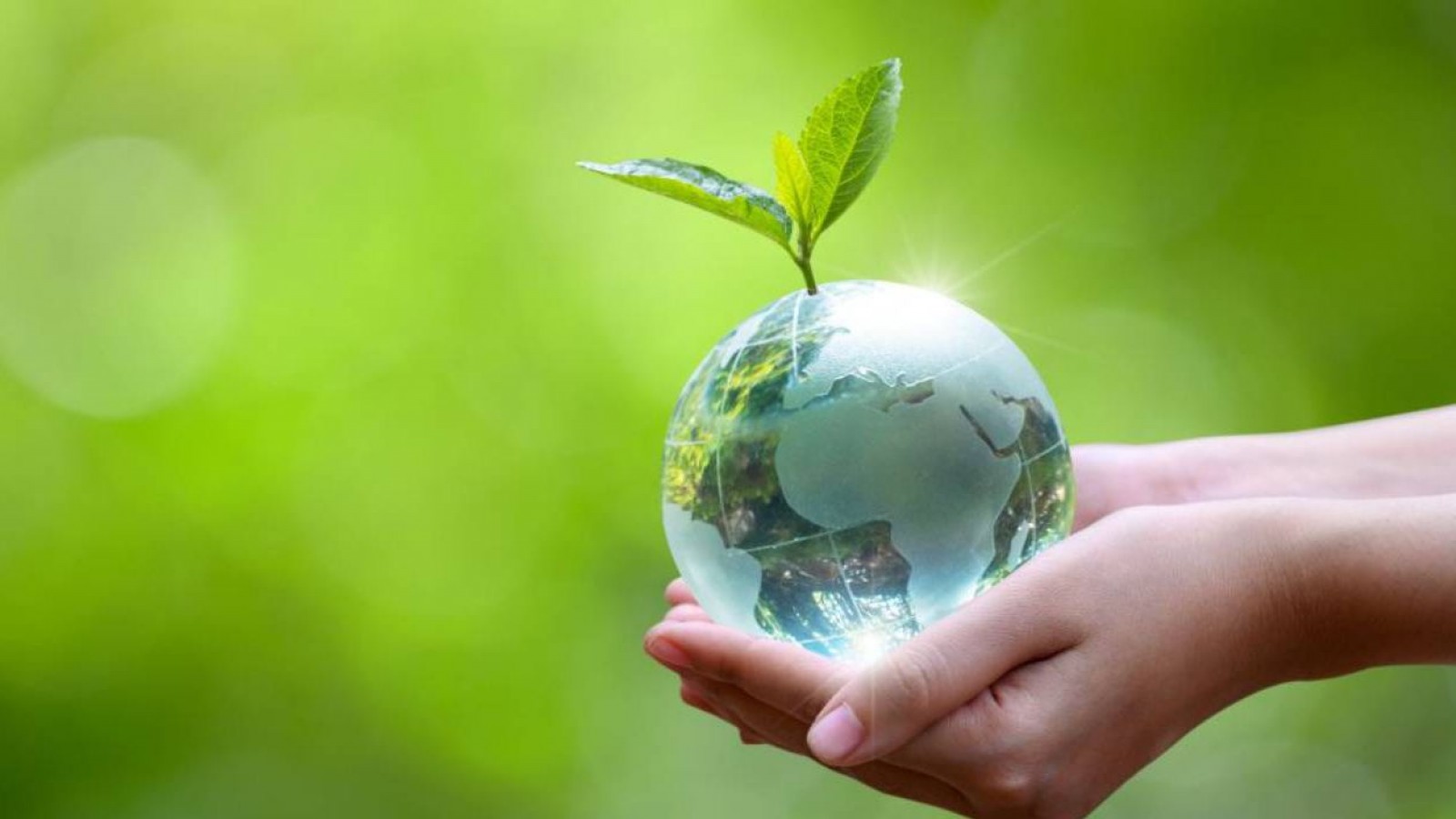 Día de la Madre Tierra- LSA