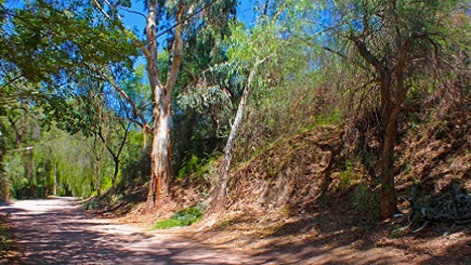 Un vecindario de Chacras de Coria exige que se tenga en cuenta su opinión