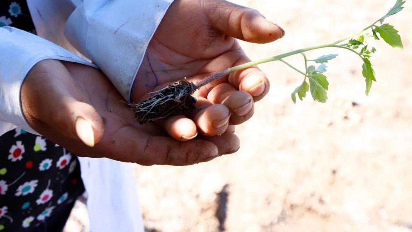 Maipú gestiona la inclusión de obreros temporales ante Nación