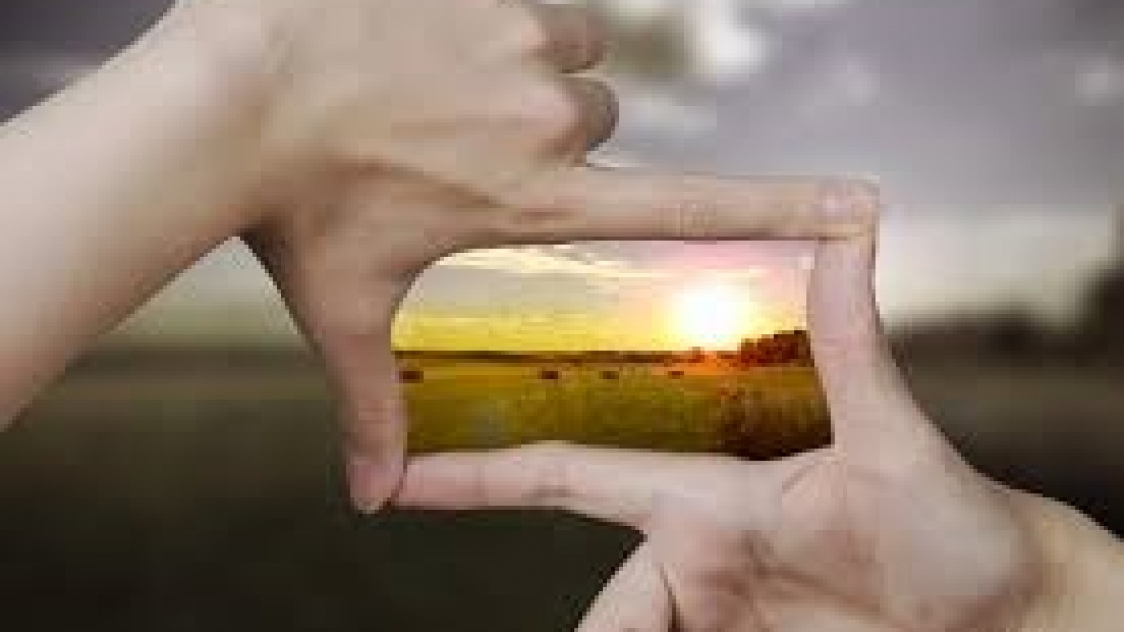 <p>Recuadro con el paisaje de un atardecer en el campo. En el centro dos manos que con los dedos índices y pulgares forman un rectángulo dentro del cual el paisaje se ve de colores. Fuera de él la imagen es difusa.</p>