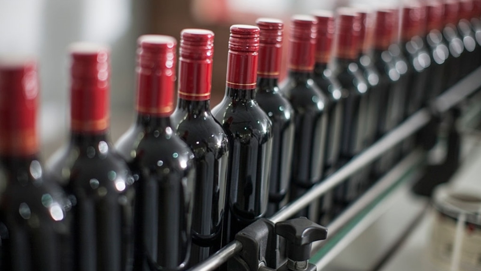 El sector vitivinícola y el rol del banco de vinos