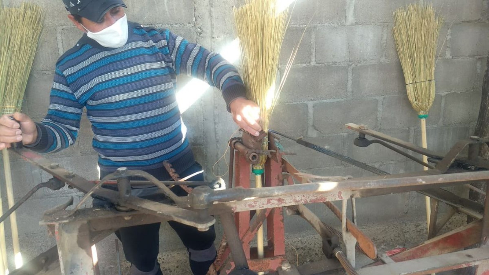 Junquillo: oficio antiguo generador de trabajo en La Paz- LSA