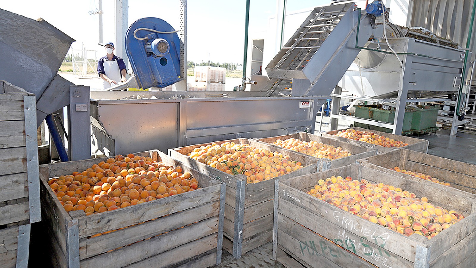 La pulpera de San Rafael produjo cifras récord de producción