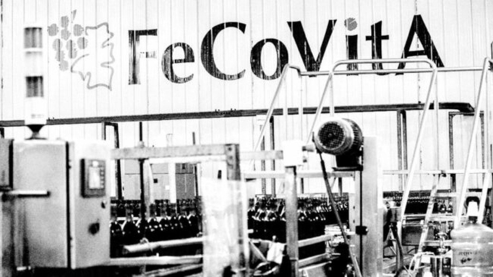 Vitivinícolas autoconvocados llaman a una concentración contra los despidos en Fecovita