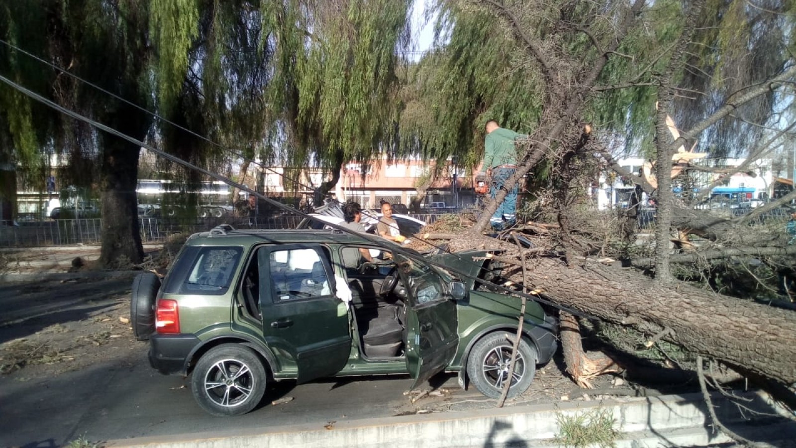 Zonda en Mendoza: autos destrozados, arboles caídos, cortes de luz