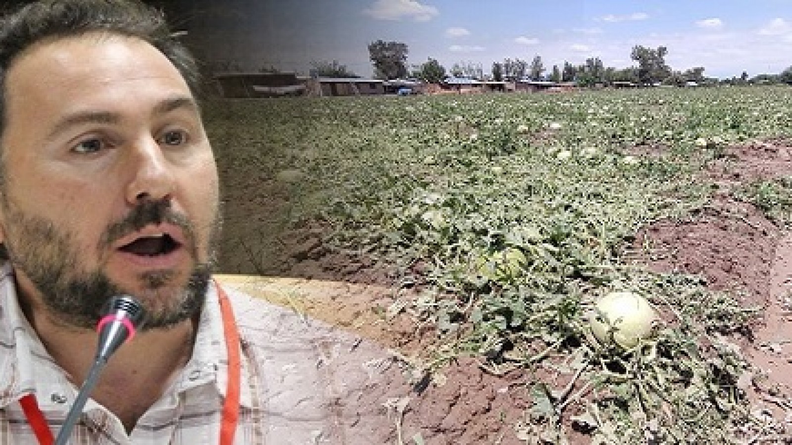 La agricultura en medio de la tormenta