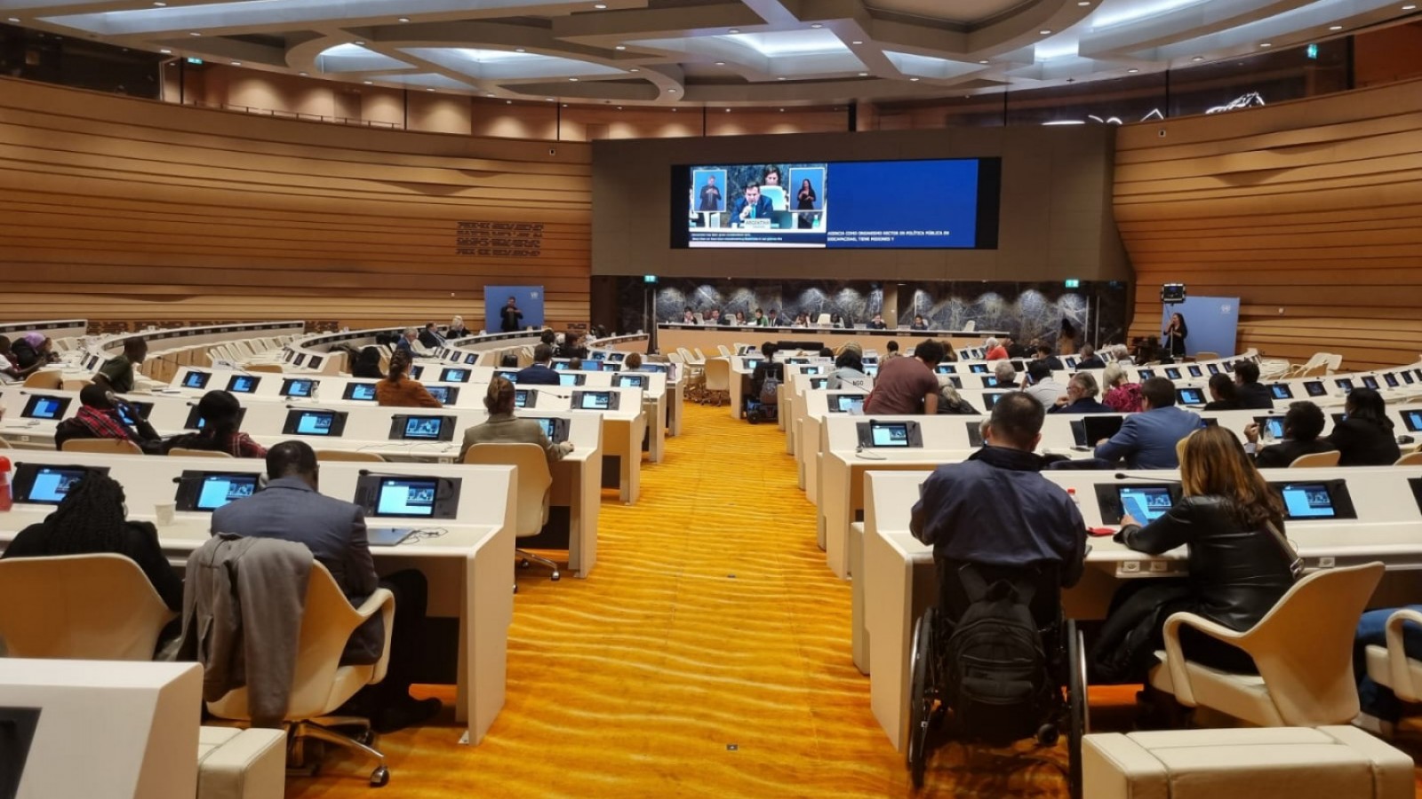 Argentina presenta su informe de avances en discapacidad frente a Naciones Unidas y destaca el desafío de garantizarlos con una Nueva Ley de Discapacidad
