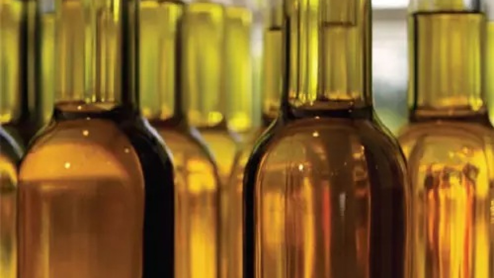 El municipio de Maipú produjo su aceite de oliva