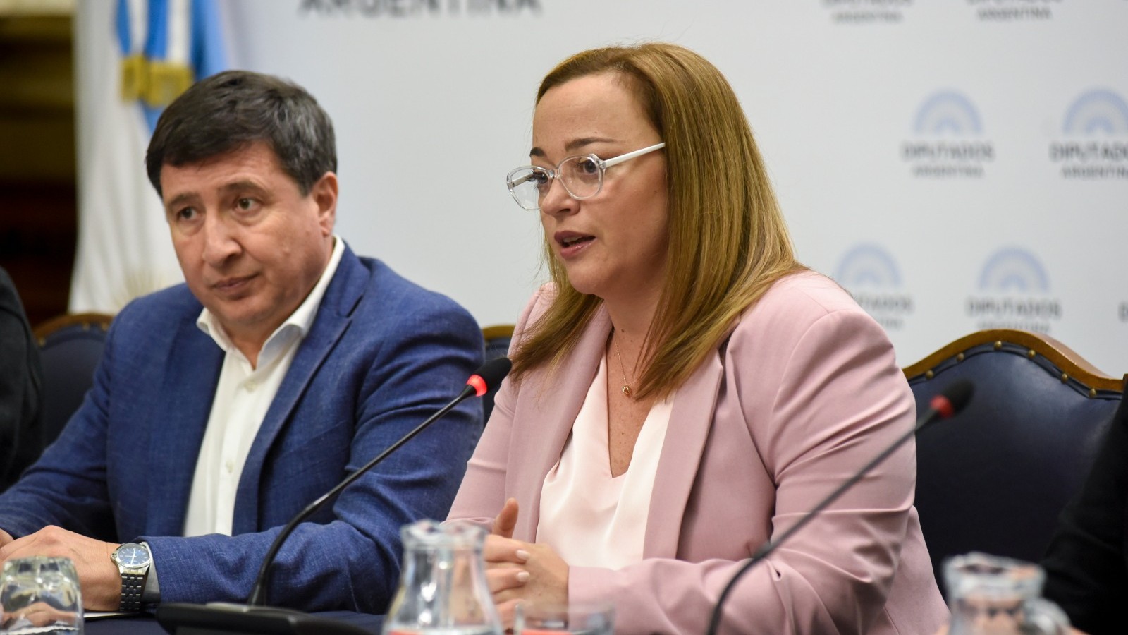 Cecilia Moreau: «Las mejores leyes sociales se construyen desde afuera hacia adentro»