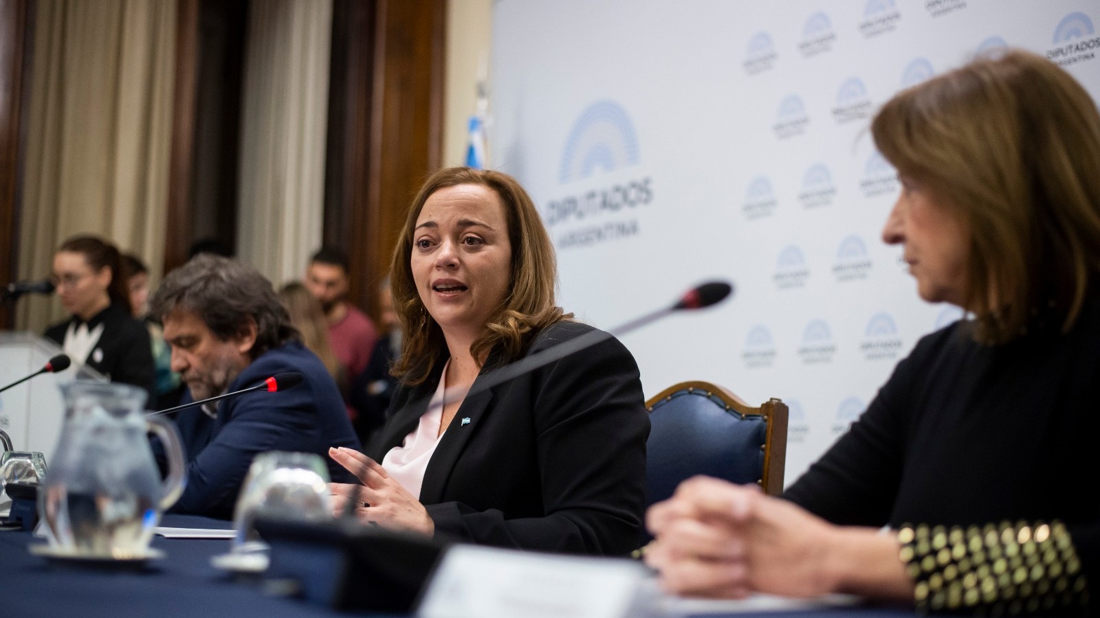 Cecilia Moreau confirmó que mañana ingresará el Presupuesto y convocará a las autoridades de Presupuesto y a los bloques para el miércoles para trazar el cronograma de tratamiento- LSA