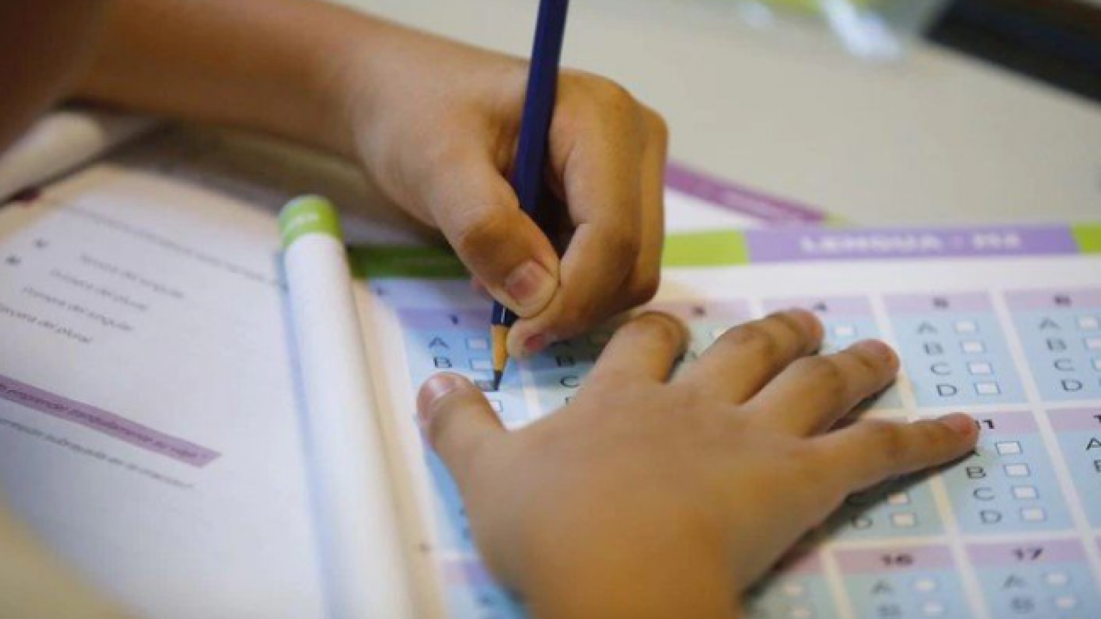 ¿Qué lugar ocupa la diversidad en las pruebas estandarizadas?