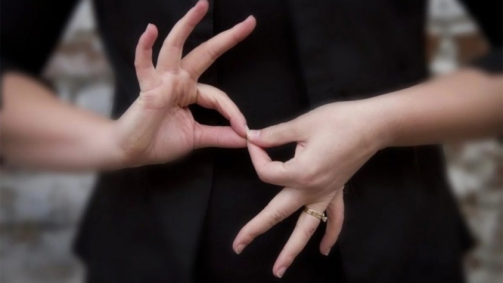 Presentan un inédito Diccionario Digital de Lengua de Señas