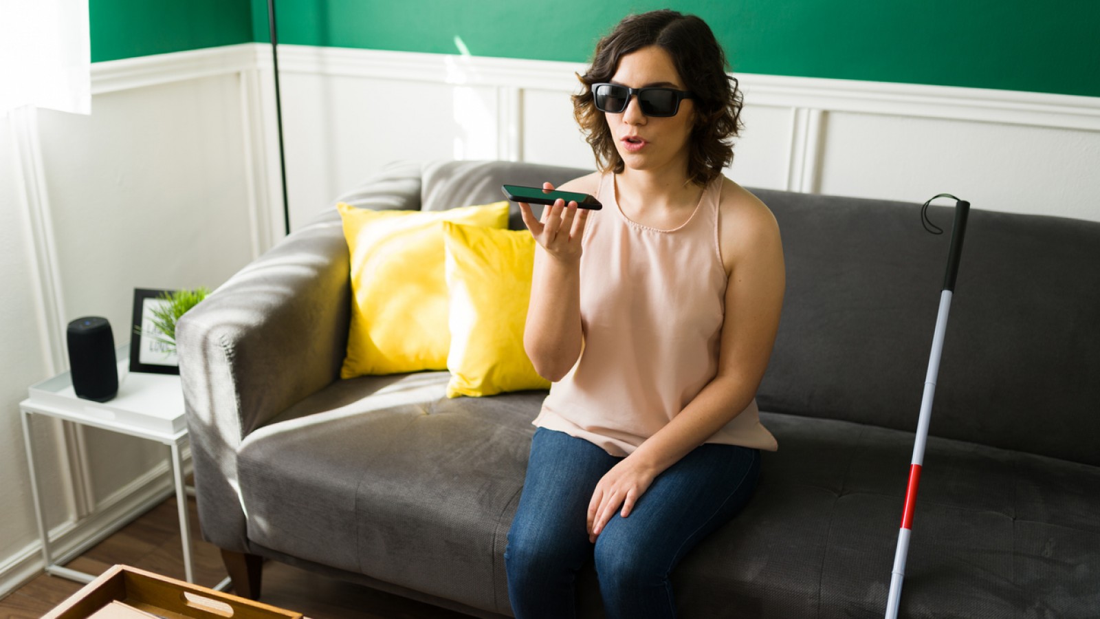 <p>persona ciega frente a la tv <a class="continue" href="https://portada.com.ar/perspectiva-de-discapacidad-en-los-medios-de-comunicacion/disabled-woman-using-her-phone/">Continúa leyendo<span> Disabled woman using her phone</span></a></p>