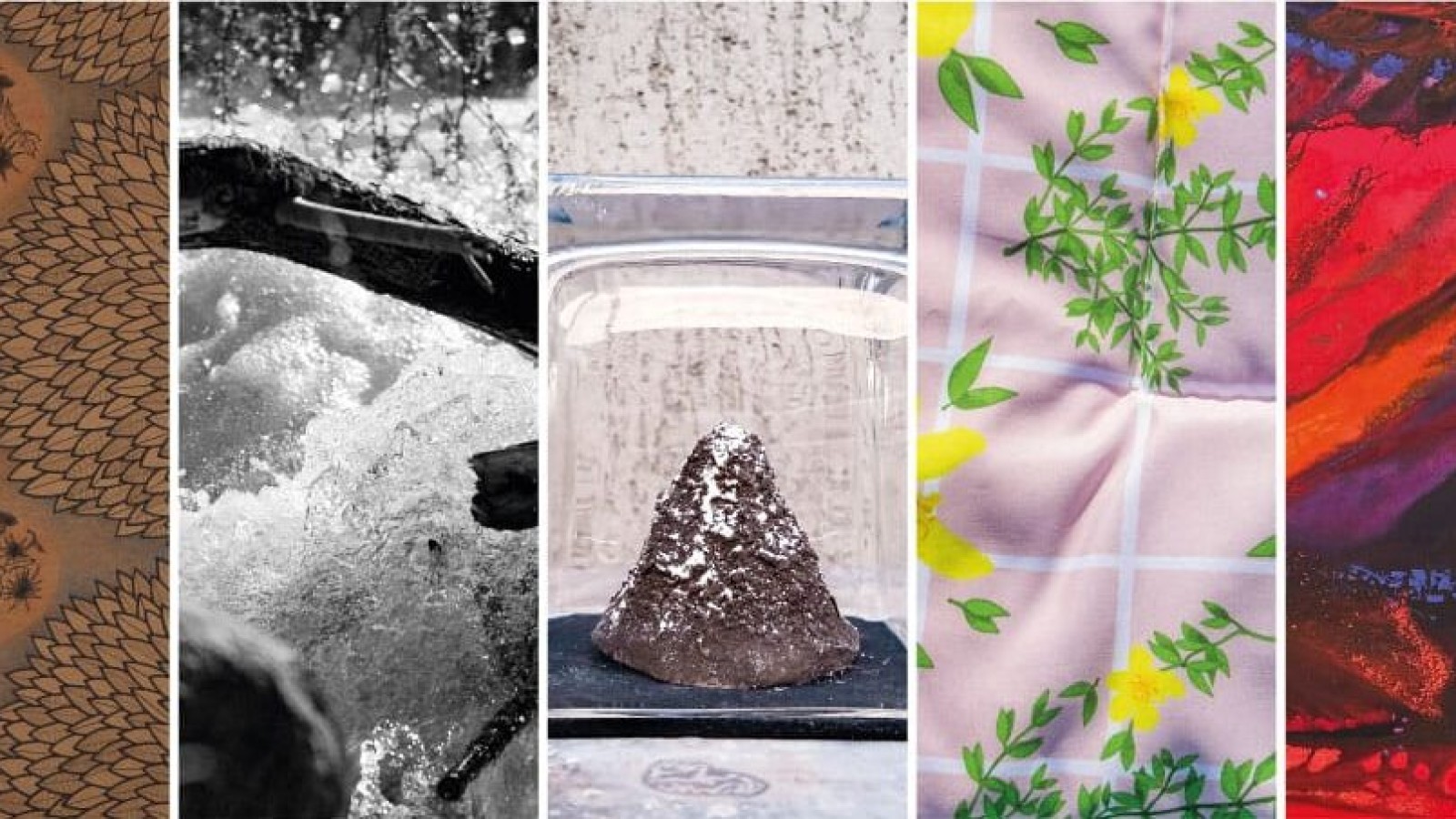 Presentan la muestra de arte «Fluir en el origen»