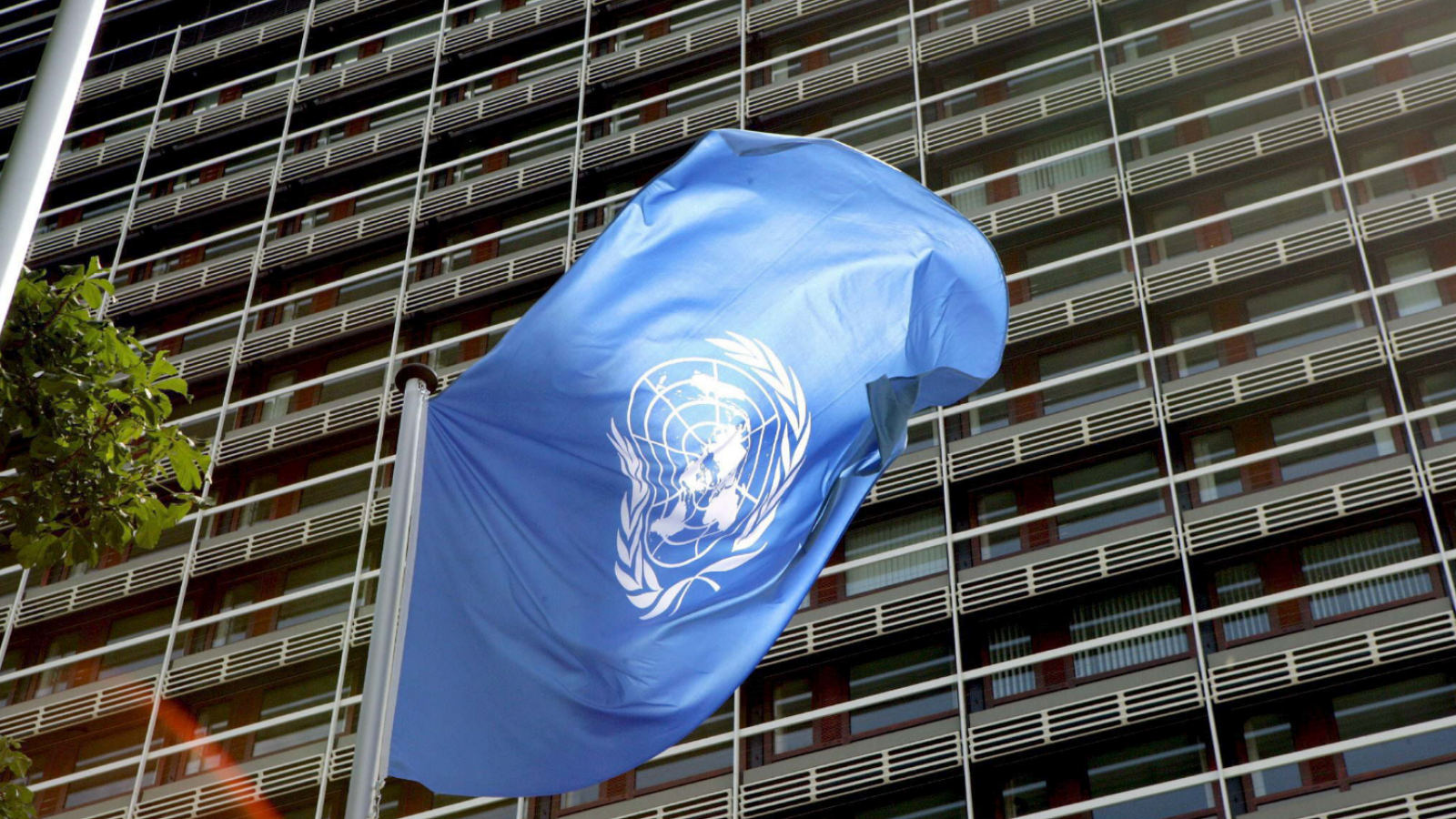 La ONU pidió participar del debate sobre la ley ómnibus