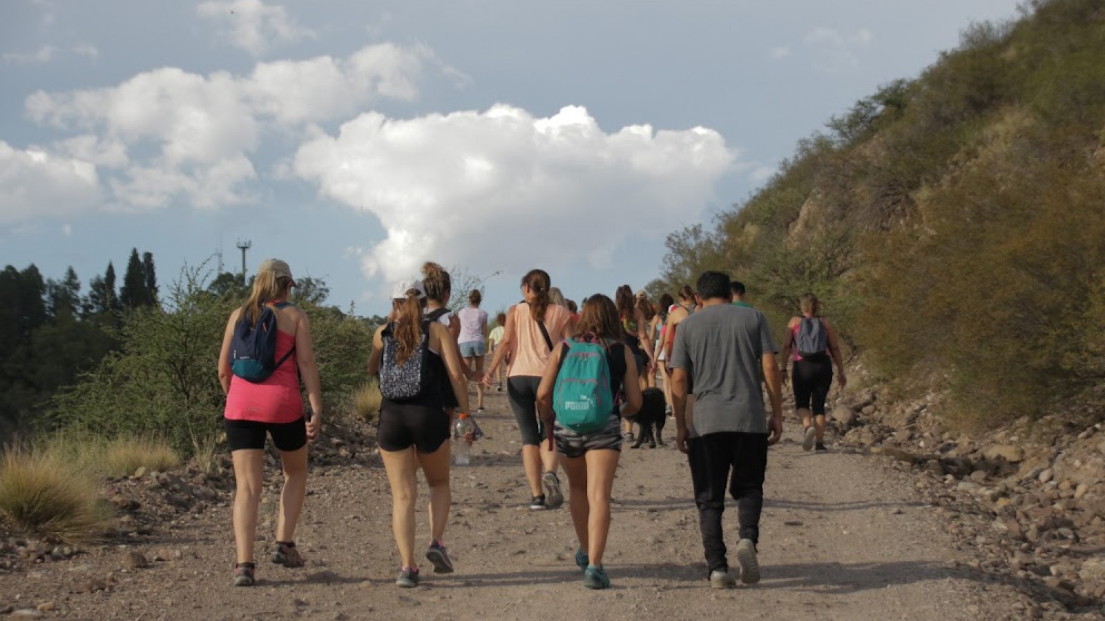Tour Divisadero nocturno